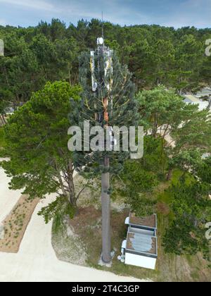 Aerial view of a mobile phone relay antenna camouflaged as a fake tree (France). Mobile phone mast disguised as pine. Stock Photo