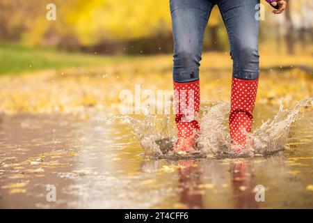 Woman legs in dotted red rubber boots with umbrella jumping in the autumn puddles. Stock Photo