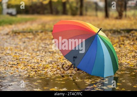 A colorful umbrella in a puddle surrounded by fallen autumn leaves, during an autumn rainy day. Melancholic autumn concept. Stock Photo