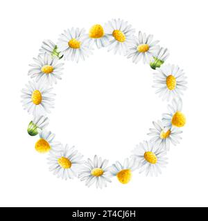 Watercolor white daisy flowers frame, logo and template isolated. Chamomile. Beauty products and botany set, cosmetology and medicine. For designers, Stock Photo