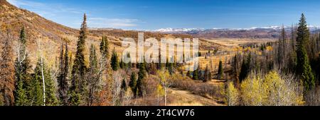 A vibrant mid autumn panorama of the foothills and mountains outside of Steamboat Springs, Colorado. Snowy mountains in distance aspens and pines near Stock Photo