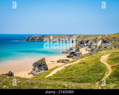 Bedruthan Steps in summer, with wildflowers, clear blue sky and sunshine, Cornwall, UK. Stock Photo