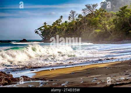 The Pacific Ocean meets the tropical rainforest at Cabo Matapalo, Osa Peninsula, Costa Rica. Stock Photo