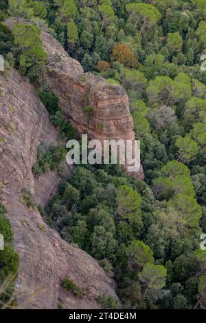 Details of rocks and forests with effects of drought on Scot pines due to climate change in Salt de la Minyona (Osona, Barcelona, Catalonia Spain) Stock Photo