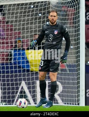 Madrid, Spain. 29th Oct, 2023. Jan Oblak of Atletico de Madrid during the La Liga match between Atletico de Madrid and Deportivo Alaves played at Civitas Metropolitano Stadium on October 29 in Madrid, Spain. (Photo by Cesar Cebolla/PRESSINPHOTO) Credit: PRESSINPHOTO SPORTS AGENCY/Alamy Live News Stock Photo