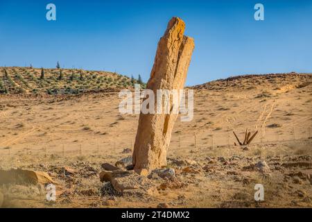 The ancient Rajajil Columns dating back to the 4th Millenium BC, near Sakakah, Al Jawf, Saudi Arabia Stock Photo