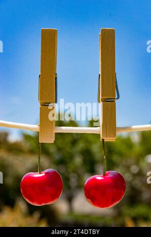 Red juicy cherries on a string with clothespin Stock Photo