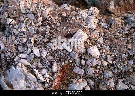 Breccia is a kind of conglomerate, a clastic sedimentary rock. This photo was taken in Menorca, Balearic Islands, Spain. Stock Photo