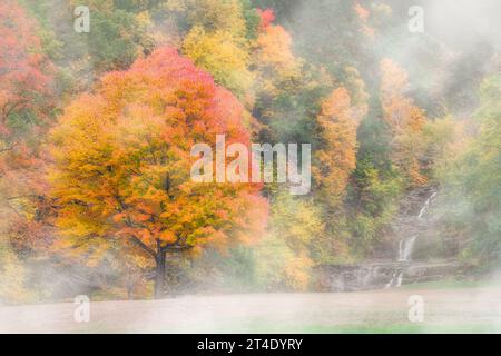 Kent Falls State Park CT  - View to Kent Falls in Kent, Connecticut surrounded by the beautiful colors of fall foliage and fog. Stock Photo