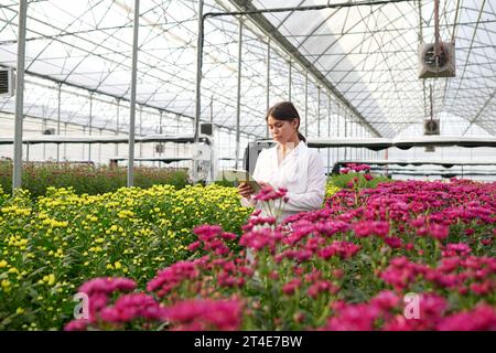 Young scientist with tablet standing between yellow and purple flowers growing on flowerbeds in spacious industrial greenhouse Stock Photo