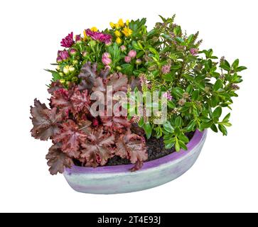Closeup of an isolated flower deco in a heart shaped clay pot Stock Photo