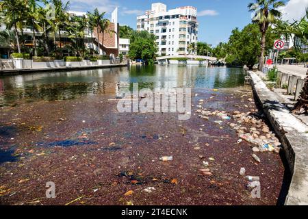 Miami Beach Florida,Indian Creek canal,floating surface debris litter trash pollution Stock Photo