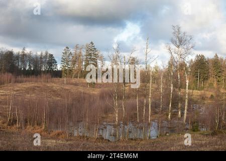 Gribskov in Denmark near Kagerup in winter 2019 Stock Photo