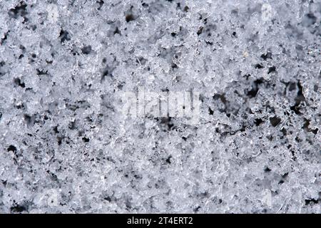 Texture of snow in closeup macro photo Stock Photo