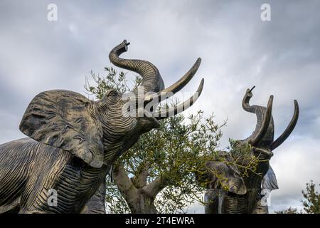 Elephant sculptures up close pictured at the Shropshire Sculpture Park on 21 October 2023 in Oswestry. Stock Photo