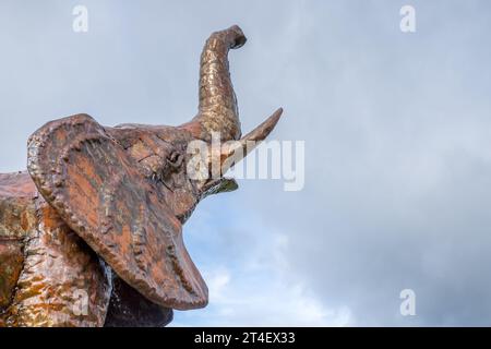 Elephant with its trunk up pictured at the Shropshire Sculpture Park on 21 October 2023 in Oswestry. Stock Photo