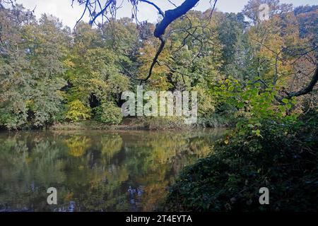 River Taff, just upstream from Blackweir footbridge, Cardiff. Taken October 2023. Early autumn. Stock Photo