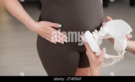 Doula explains the process of childbirth on a sample of the pelvis of a pregnant woman.  Stock Photo