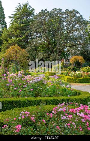 The Victorian Rose Garden at Government House, Victoria, Vancouver Island Stock Photo
