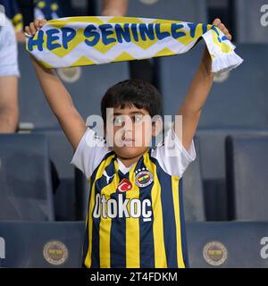 ISTANBUL - Fenerbahce supporter during the Turkish Super Lig match between Fenerbahce AS and Hatayspor at Ulker Stadium on October 22, 2023 in Istanbul, Turkey. ANP | Hollandse Hoogte | GERRIT VAN COLOGNE Stock Photo