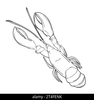 Lobster hand drawn outline doodle icon. Vector sketch illustration of healthy seafood - lobster or cancer for print, web, mobile and infographics isol Stock Vector