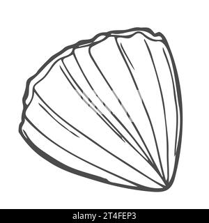 Sea shell, scallop vector sketch illustration. Seashell outline icon. Clam doodle. Scallop closed Stock Vector
