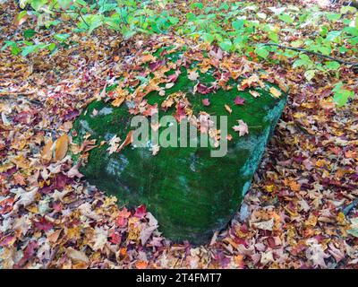 Moss covered rock in fall covered in leaves Stock Photo