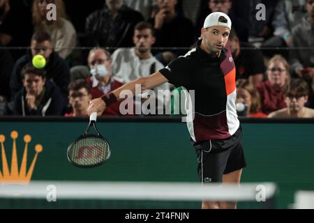 Paris, France. 30th Oct, 2023. Grigor Dimitrov of Bulgaria during day 1 of the Rolex Paris Masters 2023, ATP Masters 1000 tennis tournament on October 30, 2023 at Accor Arena in Paris, France - Photo Jean Catuffe/DPPI Credit: DPPI Media/Alamy Live News Stock Photo