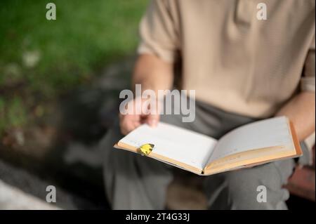 Close-up image of a happy senior man reading a book while relaxing on a bench in a green park. A beautiful butterfly on an opened book in a man's hand Stock Photo