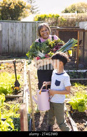 Happy biracial grandmother and grandson picking vegetables in sunny vegetable garden Stock Photo