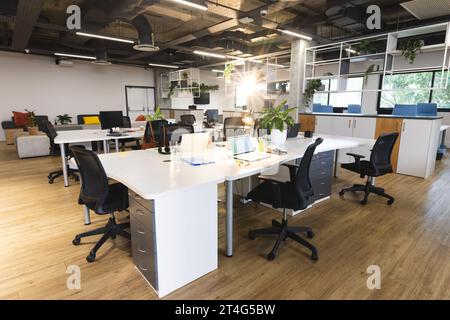 Empty creative office with plants in pots, computer and laptops with data on screen Stock Photo