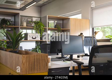 Empty creative office with wooden furniture, plants and computers on table Stock Photo