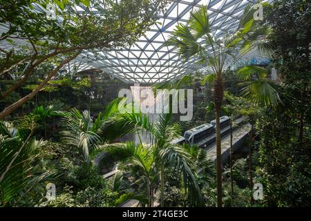 Sky Train travel inside Jewel Changi Airport for visitors to marvel at the lush green interior and world's tallest indoor waterfall Stock Photo