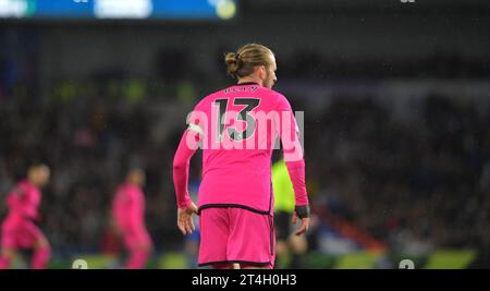 Tim Ream of Fulham during the Premier League match between Brighton and Hove Albion and Fulham at the American Express Stadium  , Brighton , UK - 29th October 2023 Photo Simon Dack / Telephoto Images. Editorial use only. No merchandising. For Football images FA and Premier League restrictions apply inc. no internet/mobile usage without FAPL license - for details contact Football Dataco Stock Photo