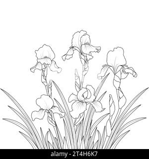 Iris flowers botanical vector illustration. Line art blooming iris outline. Coloring book page. Stock Vector
