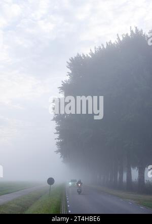 trees along strait country road with traffic on motor scooter and car to school and work during morning mist in the netherlands near utrecht Stock Photo