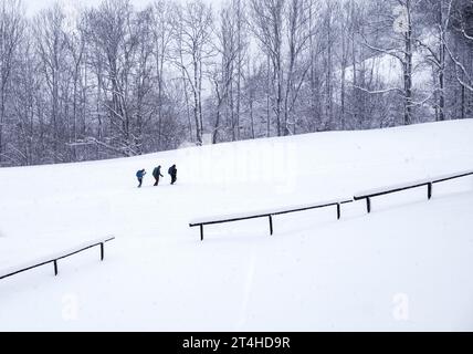 A group of skiers are enjoying the pristine winter landscape, skiing down a snowy hillside. Stock Photo