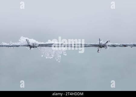 A barbed wire fence coated in a thin layer of frost and icicles dangling from the metal posts. Stock Photo
