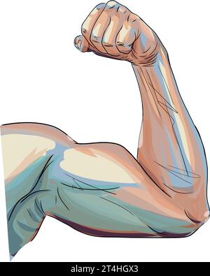 A strong arm showing its biceps muscle illustration Stock Vector