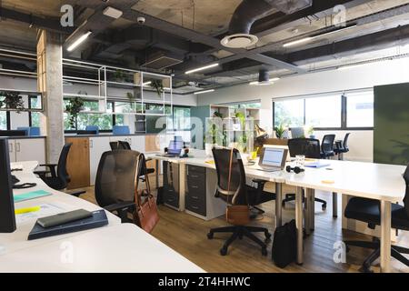 Empty creative office with plants in pots, computer and laptops with data on screen Stock Photo