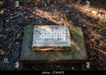 Pet dog grave for Snow in 1889 in Stanmer Park , Brighton , Sussex , England UK    Credit Simon Dack Stock Photo