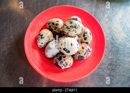 boiled eggs food, quail eggs on wooden bowl, breakfast eggs with fresh quail eggs and vegetable lettuce on table background, Vietnam Stock Photo