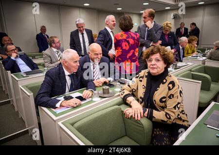 THE HAGUE - Ilona Lagas (BBB) in the Senate after the vote. Members of the Senate cast a vote on the dispersal law. The SGP faction in the Senate wanted the distribution law for a fair distribution of asylum seekers among municipalities to be declared controversial. ANP PHIL NIJHUIS netherlands out - belgium out Stock Photo