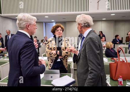 THE HAGUE - Ilona Lagas (BBB) in the Senate after the vote. Members of the Senate cast a vote on the dispersal law. The SGP faction in the Senate wanted the distribution law for a fair distribution of asylum seekers among municipalities to be declared controversial. ANP PHIL NIJHUIS netherlands out - belgium out Stock Photo