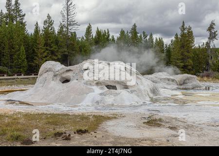 Steam coming out of Grotto Geyser in the Upper Geyser Basin in Yellowstone National Park Stock Photo