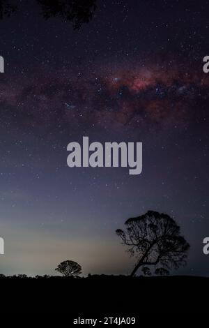 Milky way over lone tilted tree, near Canberra, Australia Stock Photo