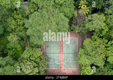 Aerial photograph captures  red clay tennis court nestled in the midst of a dense forest. The court is marked with white lines and surrounded by tall, Stock Photo