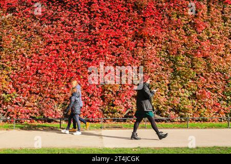 London, UK. 31st Oct, 2023. People walk and cycle past the autumnal virginia creeper (Parthenocissus quinquefolia) climbing the Admiralty Citadel at Horse Guards Parade in vibrant reds, oranges and greens on a mostly dry and mild day in London with spells of beautiful sunshine in the afternoon. Credit: Imageplotter/Alamy Live News Stock Photo