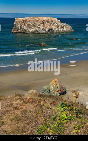 Table Rock at Bandon, Oregon, USA Stock Photo - Alamy