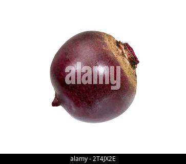 Beetroot (beet root). Whole beet root isolated on white. Stock Photo